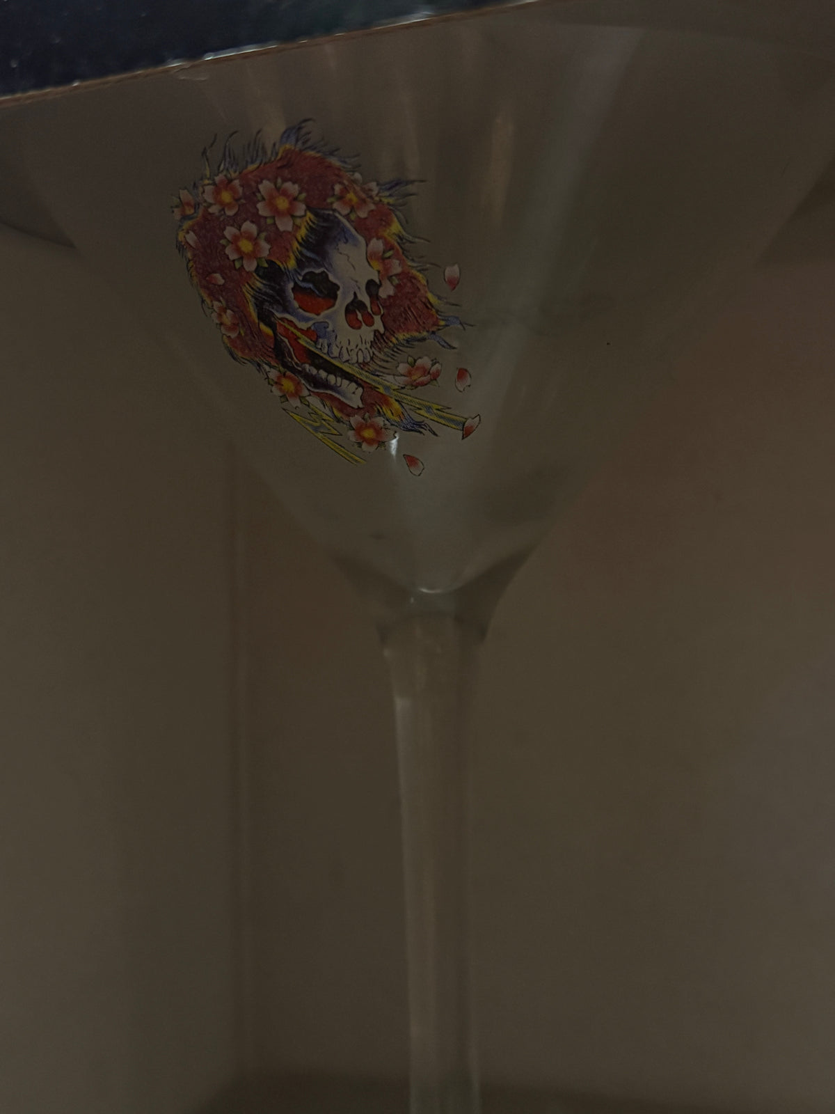 Ed Hardy Mixer And Martini Glass Set