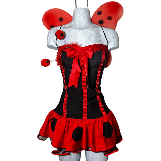 Lady Bug Costume
